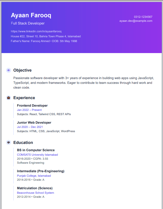 Professional Resume Preview